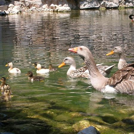 Adrasan River Hotel Kumluca Екстер'єр фото